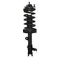 Complete Strut Assembly: Includes Strut, Coil Spring and Mount