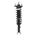 Complete Strut Assembly: Includes Strut, Coil Spring and Mount