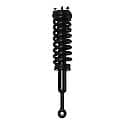 Complete Strut Assembly: Includes Strut, Coil Spring and Mount