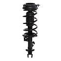 Complete Strut Assembly: Includes Strut, Coil Spring and Mount