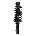 Complete Strut Assembly: Includes Strut, Coil Spring and Mount