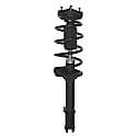 Complete Strut Assembly: Includes Strut, Coil Spring and Mount