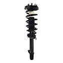 Complete Strut Assembly: Includes Strut, Coil Spring and Mount