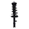 Complete Strut Assembly: Includes Strut, Coil Spring and Mount