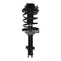 Complete Strut Assembly: Includes Strut, Coil Spring and Mount