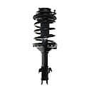 Complete Strut Assembly: Includes Strut, Coil Spring and Mount