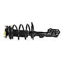 Complete Strut Assembly: Includes Strut, Coil Spring and Mount