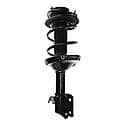 Complete Strut Assembly: Includes Strut, Coil Spring and Mount