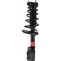 Complete Strut Assembly: Includes Strut, Coil Spring, and Mount