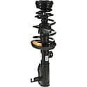 Complete Strut Assembly: Includes Strut, Coil Spring, and Mount