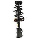 Complete Strut Assembly: Includes Strut, Coil Spring, and Mount