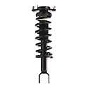 Complete Strut Assembly: Includes Strut, Coil Spring and Mount