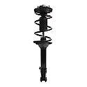 Complete Strut Assembly: Includes Strut, Coil Spring and Mount