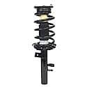 Complete Strut Assembly: Includes Strut, Coil Spring and Mount