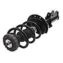 Complete Strut Assembly: Includes Strut, Coil Spring and Mount