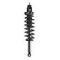 Complete Strut Assembly: Includes Strut, Coil Spring and Mount