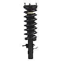 Complete Strut Assembly: Includes Strut, Coil Spring and Mount