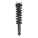 Complete Strut Assembly: Includes Strut, Coil Spring and Mount