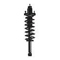 Complete Strut Assembly: Includes Strut, Coil Spring and Mount