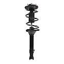 Complete Strut Assembly: Includes Strut, Coil Spring and Mount