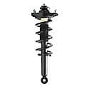 Complete Strut Assembly: Includes Strut, Coil Spring and Mount