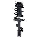 Complete Strut Assembly: Includes Strut, Coil Spring and Mount