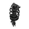 Complete Strut Assembly: Includes Strut, Coil Spring and Mount