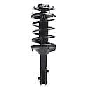 Complete Strut Assembly: Includes Strut, Coil Spring and Mount