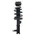 Complete Strut Assembly: Includes Strut, Coil Spring and Mount