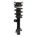 Complete Strut Assembly: Includes Strut, Coil Spring and Mount