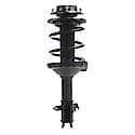 Complete Strut Assembly: Includes Strut, Coil Spring and Mount