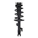 Complete Strut Assembly: Includes Strut, Coil Spring and Mount