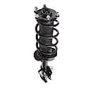 Complete Strut Assembly: Includes Strut, Coil Spring and Mount