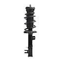 Complete Strut Assembly: Includes Strut, Coil Spring and Mount