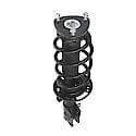 Complete Strut Assembly: Includes Strut, Coil Spring and Mount