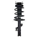 Complete Strut Assembly: Includes Strut, Coil Spring and Mount