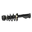 Complete Strut Assembly: Includes Strut, Coil Spring and Mount