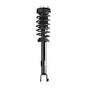 Complete Strut Assembly: Includes Strut, Coil Spring and Mount