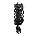 Complete Strut Assembly: Includes Strut, Coil Spring and Mount