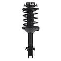 Complete Strut Assembly 18-920276: Includes Strut, Coil Spring and Mount