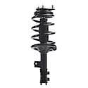 Complete Strut Assembly: Includes Strut, Coil Spring and Mount