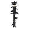 Complete Strut Assembly 18-920181: Includes Strut, Coil Spring and Mount