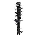 Complete Strut Assembly: Includes Strut, Coil Spring and Mount