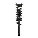 Complete Strut Assembly: Includes Strut, Coil Spring and Mount