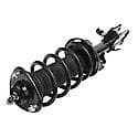 Complete Strut Assembly: Includes Strut, Coil Spring and Mount