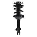 Complete Strut Assembly: Includes Strut, Coil Spring and Mount