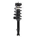 Complete Strut Assembly: Includes Strut, Coil Spring and Mount