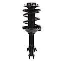 Complete Strut Assembly: Includes Strut, Coil Spring and Mount