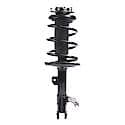 Complete Strut Assembly: Includes Strut, Coil Spring and Mount