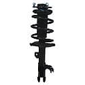 Complete Strut Assembly: Includes Strut, Coil Spring and Mount